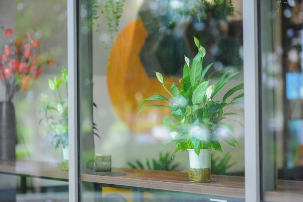 L'Impact Crucial de la Durabilité sur la Prévention du Changement Climatique